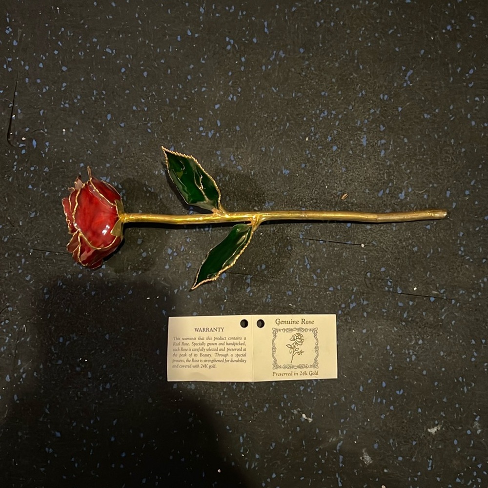 Genuine Rose Preserved in 24k Gold! Beautiful! Excellent gift for a loved one ❤️
